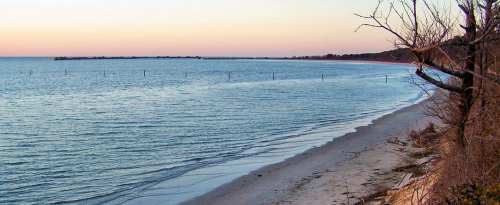 A serene beach at sunset, with calm waters and a distant pier, framed by trees along the shoreline.