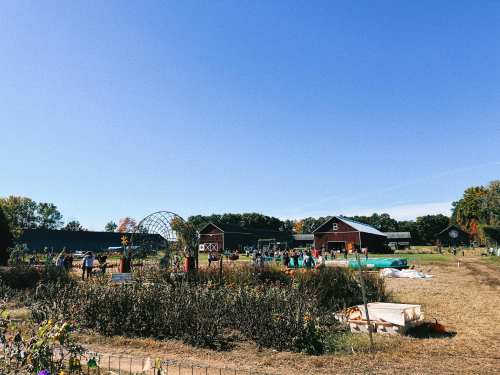 A sunny farm scene with people working, barns in the background, and a clear blue sky.