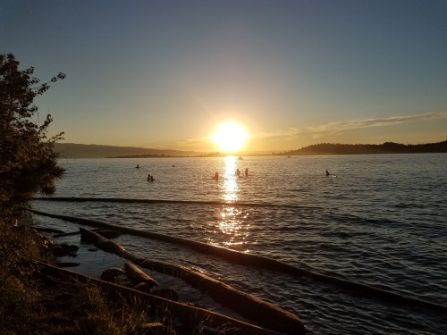 Sunset over a calm lake, with silhouettes of people paddleboarding and logs along the shore.