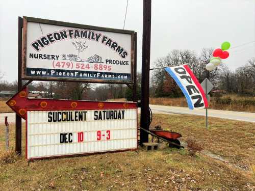 Sign for Pigeon Family Farms advertising "Succulent Saturday" on Dec 10, with balloons and an "Open" flag.