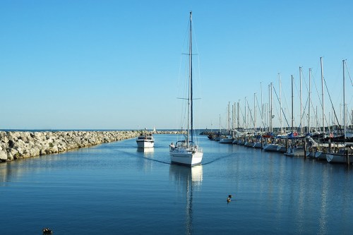 Two sailboats navigate a calm marina, surrounded by moored yachts and a clear blue sky.