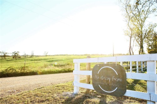 A sunlit farm entrance with a sign reading "The Berry Farm" and a scenic green landscape in the background.
