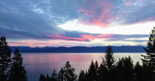 A serene lake at sunset, with vibrant pink and purple skies reflecting on the water, framed by silhouetted trees.