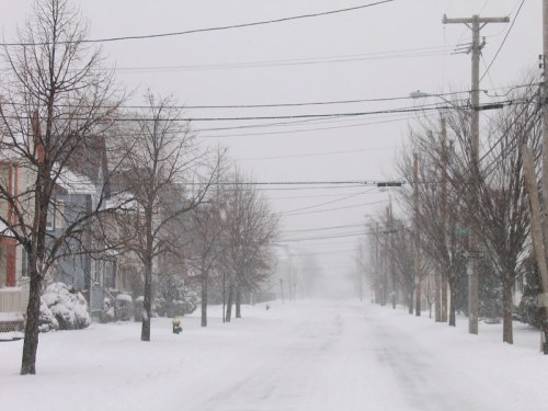 A snowy street lined with bare trees and power lines, creating a quiet, wintry scene in a residential area.