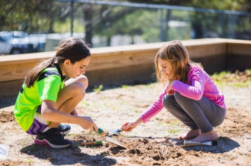 Two girls are playing in a sandbox, using small tools to dig and explore the dirt on a sunny day.
