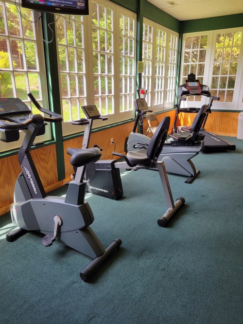 A fitness room with exercise bikes and a rowing machine, surrounded by large windows and green carpet.