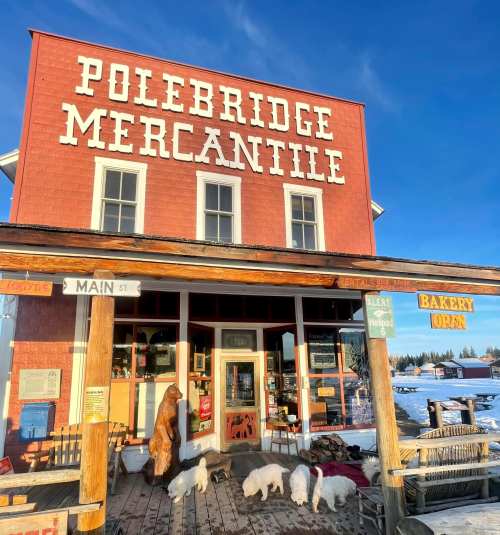 A rustic storefront of Polebridge Mercantile with a wooden porch and dogs outside, set against a clear blue sky.
