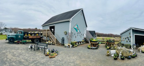 A charming flower shop with potted plants outside, an old truck, and a gray building under a cloudy sky.