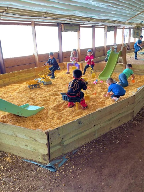 Children playing in a corn pit with toys and slides in a barn-like setting.