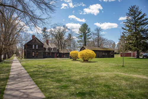 A sunny park scene featuring two historic buildings surrounded by green grass and blooming yellow bushes under a blue sky.