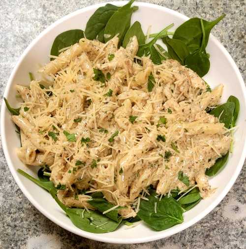 A bowl of pasta with creamy sauce and grated cheese, served on a bed of fresh spinach leaves.