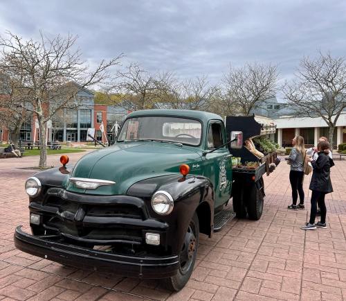 A vintage green and black truck parked on a plaza, with two people examining plants in the truck bed.