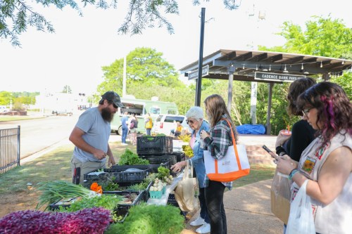 A farmer's market scene with people browsing fresh produce and chatting near a park entrance on a sunny day.