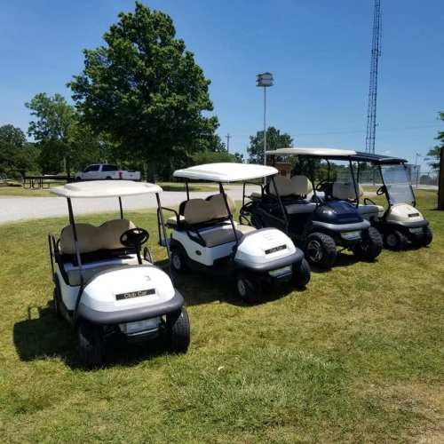 A row of golf carts parked on a grassy area, with trees and a light pole in the background.