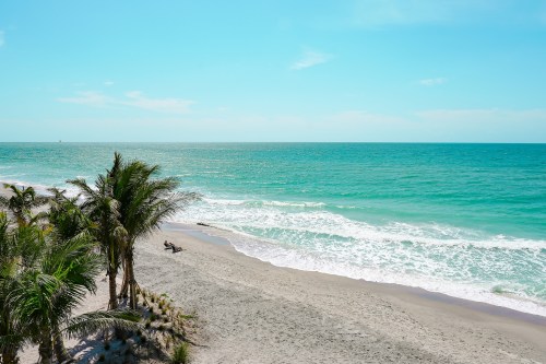 A serene beach scene with palm trees, soft waves, and a clear blue sky.