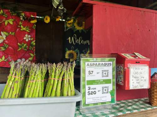 Fresh asparagus for sale at a market stand, with a sign listing prices and a red donation box nearby.