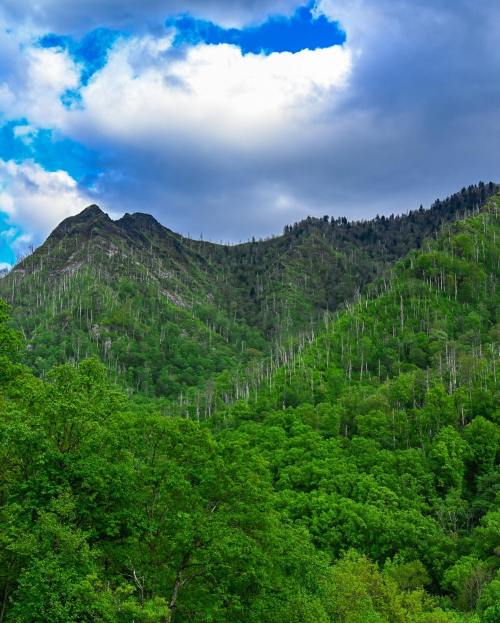 Lush green mountains under a cloudy sky, with a mix of trees and rocky peaks in the background.