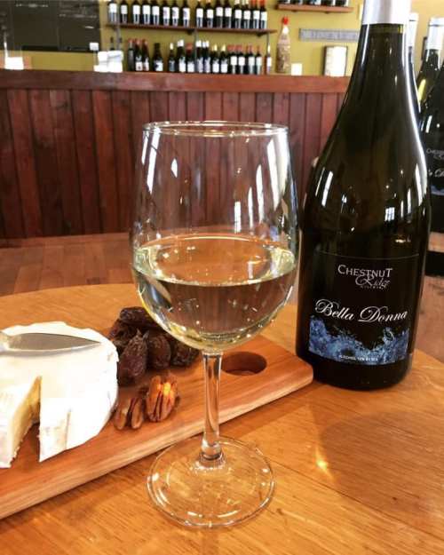 A glass of white wine beside a bottle labeled "Bella Donna," with cheese and nuts on a wooden board in a wine shop.