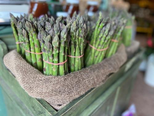 Bunches of fresh asparagus tied with pink rubber bands, arranged in a burlap-lined basket.
