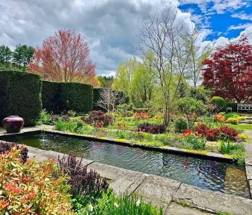 A vibrant garden with colorful flowers, a pond, and lush greenery under a partly cloudy sky.