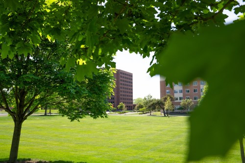 A green park with trees and a building in the background, framed by vibrant leaves.
