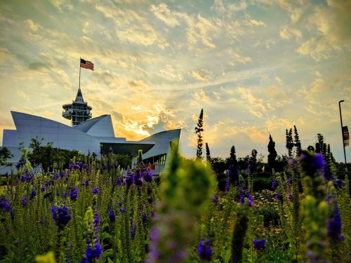 A modern building with a flag at sunset, surrounded by vibrant purple flowers and a cloudy sky.