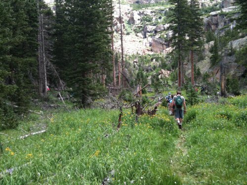 Hikers walking on a trail through a lush green forest with wildflowers and rocky terrain in the background.