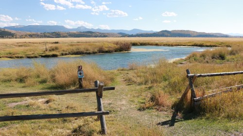 A serene landscape featuring a river surrounded by tall grass and mountains under a clear blue sky.