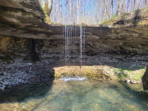 A serene scene of a small waterfall cascading over rocks into a clear pool, surrounded by trees and sunlight.