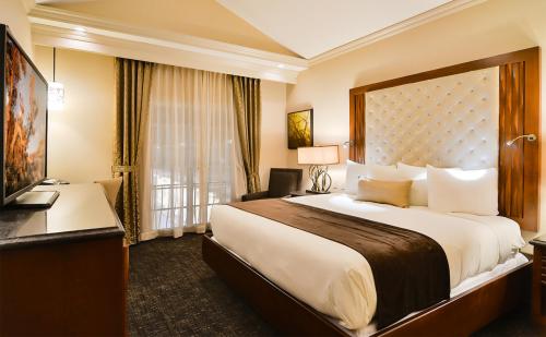 Cozy hotel room featuring a king bed, TV, and elegant decor with natural light from large windows.