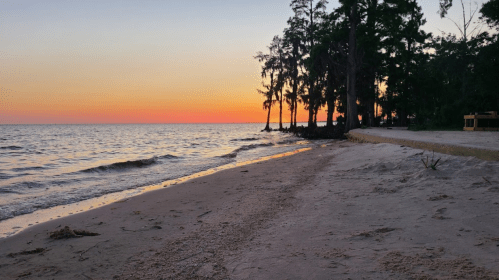 A serene beach at sunset, with gentle waves lapping the shore and trees silhouetted against a colorful sky.