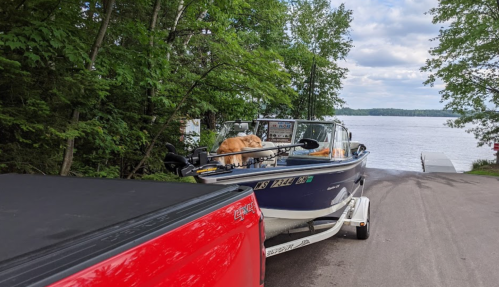A boat on a trailer parked by a lake, surrounded by trees, with two dogs sitting on the boat.