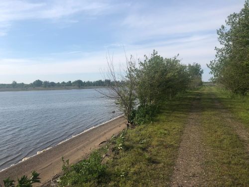 A serene riverside path lined with greenery, leading to calm waters under a clear blue sky.