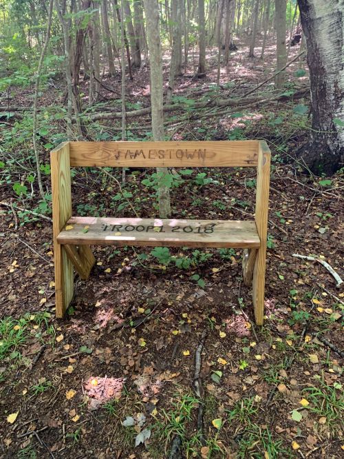 A wooden bench in a forest, engraved with "JAMESTOWN" and "2018," surrounded by trees and fallen leaves.
