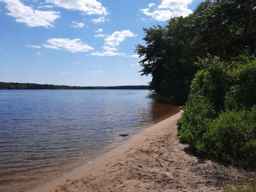A serene lakeside view with sandy shore, lush greenery, and a clear blue sky dotted with clouds.