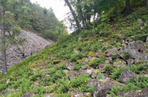 Blue Hills Felsenmeer Is A Wisconsin Natural Wonder