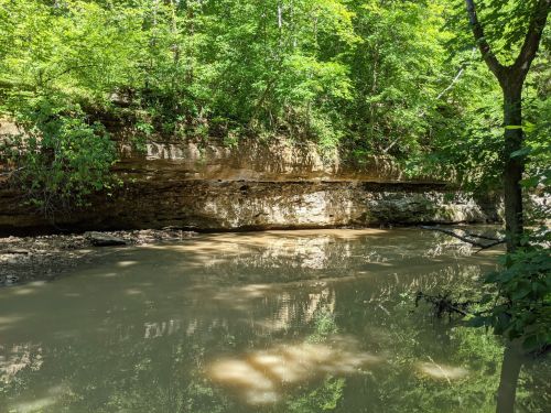 A serene riverbank surrounded by lush green trees and rocky cliffs, reflecting in the calm water below.
