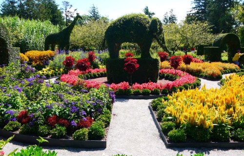 A vibrant garden featuring colorful flowers and topiary animals, including a giraffe and an elephant, surrounded by greenery.