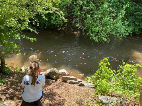 A person sits by a river, watching colorful rubber ducks floating downstream among lush greenery.