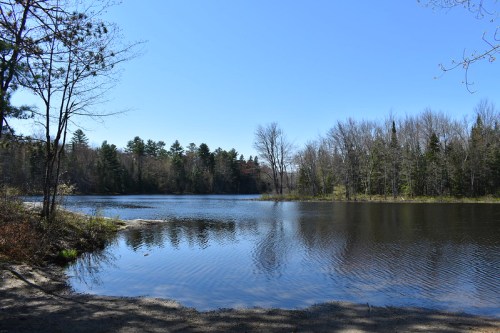 A serene lake surrounded by trees under a clear blue sky, reflecting the landscape on its calm surface.