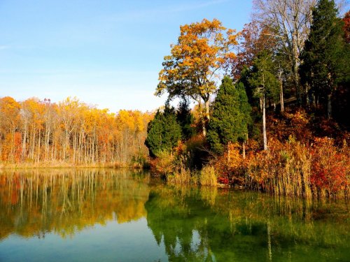 A serene lake surrounded by vibrant autumn foliage and trees reflecting in the calm water under a clear blue sky.