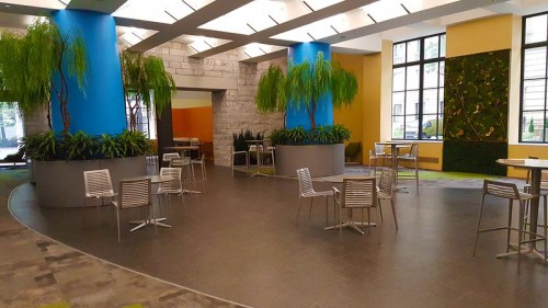 Modern indoor space with colorful walls, potted plants, and seating areas featuring metal chairs and tables.