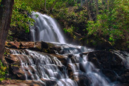 A serene waterfall cascading over rocky steps, surrounded by lush green foliage in a tranquil forest setting.