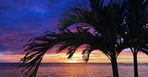 Silhouetted palm trees against a vibrant sunset over the ocean, with colorful clouds reflecting in the water.