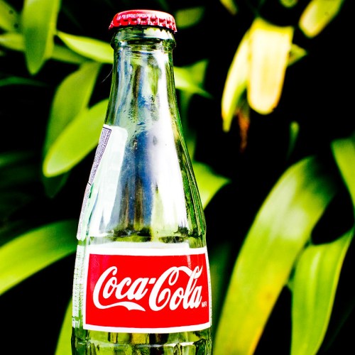 A glass Coca-Cola bottle with a red label, set against a backdrop of green foliage.