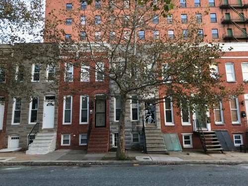 Row of brick townhouses with a large tree in front, set against a taller building in the background.