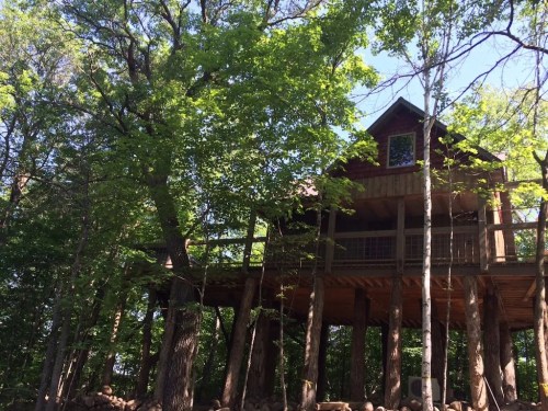 A wooden treehouse elevated on stilts, surrounded by lush green trees and sunlight filtering through the leaves.