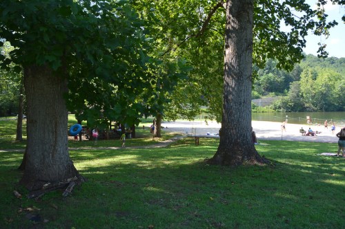 A serene park scene with trees, a sandy area, and people enjoying a lake in the background on a sunny day.
