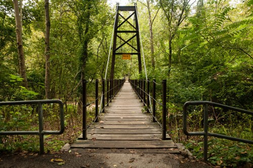 A wooden suspension bridge leads through a lush green forest, surrounded by trees and foliage.