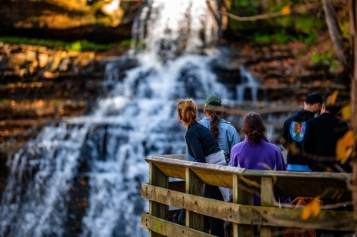 A group of people stands on a wooden railing, admiring a waterfall surrounded by lush greenery.